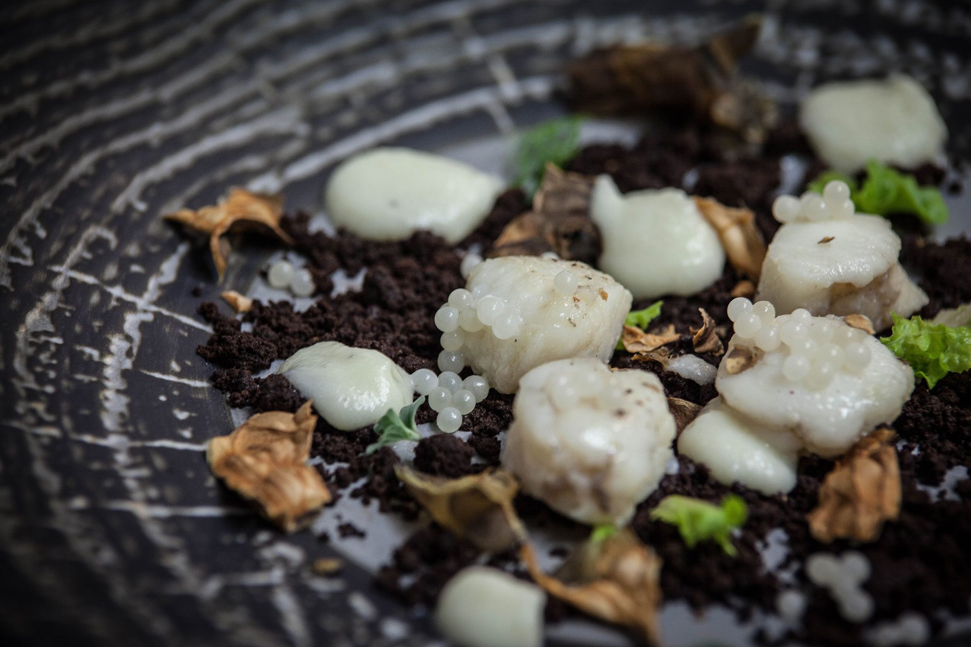 ristorante il tegolo livorno pesce fresco caviale lumaca cioccolato menu capodanno